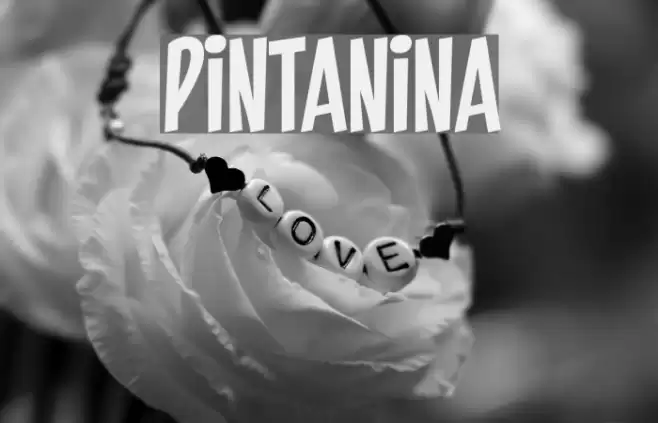 PINTANINA Font examples