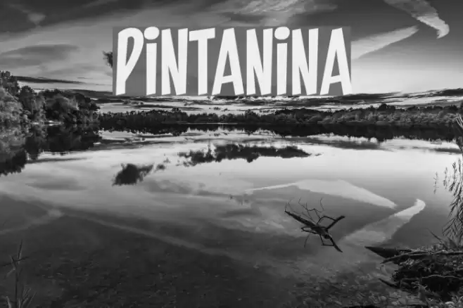 PINTANINA Font examples