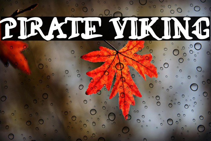 PIRATE VIKING Example 2