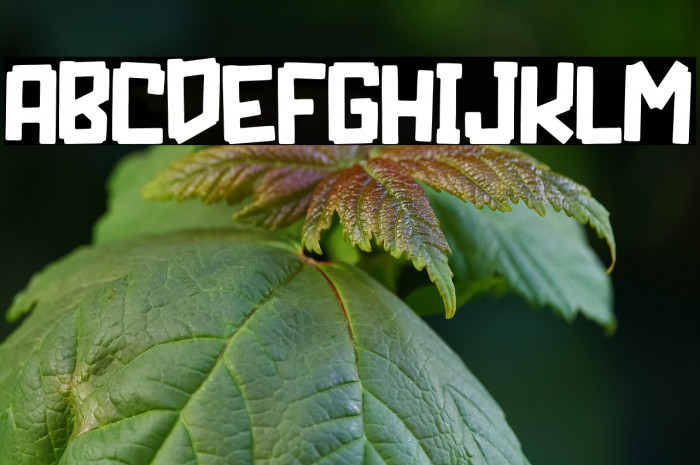 PIXEL CRAFT Example 1