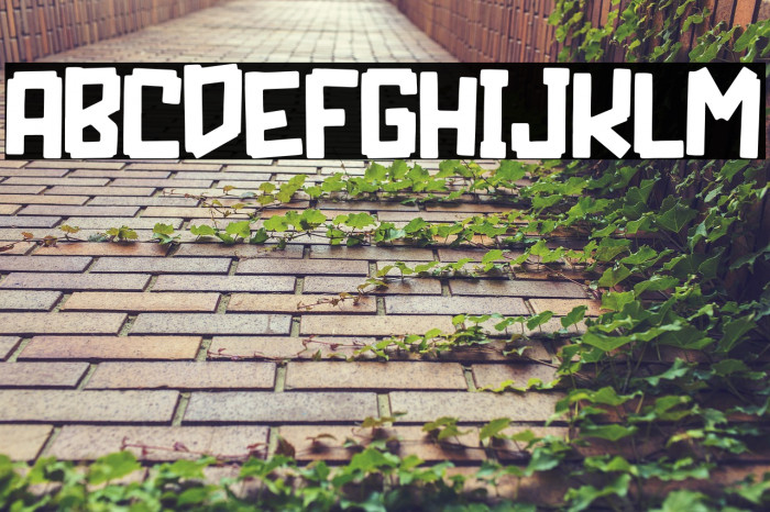 PIXEL CRAFT Example 3