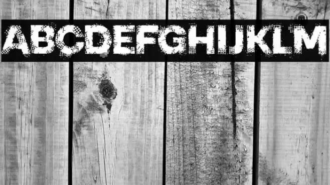 PIXEL CRASH TRIAL Fuentes examples