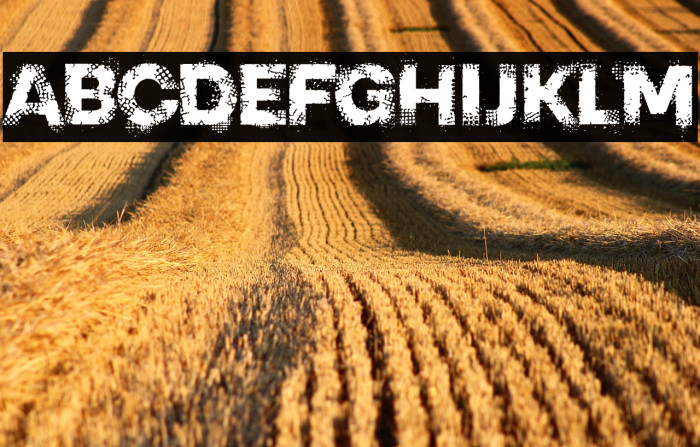 PIXEL CRASH TRIAL Example 2