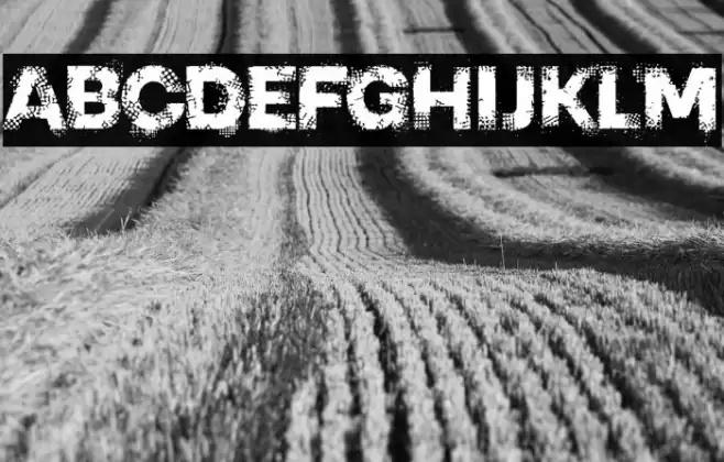 PIXEL CRASH TRIAL Fuentes examples