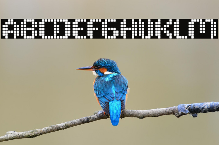 PIXELYATrial-Regular Example 3