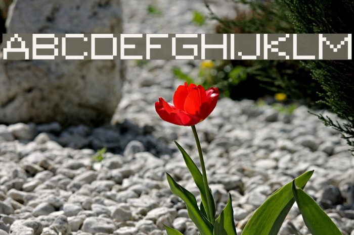 PIXgothic_7 Font examples