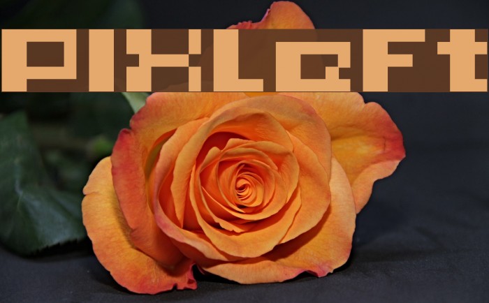 PIXleft_5 Fonte examples