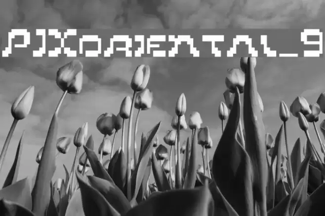 PIXoriental_9 Font examples