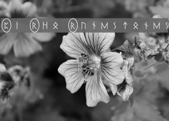 Pi Rho Runestones Font examples