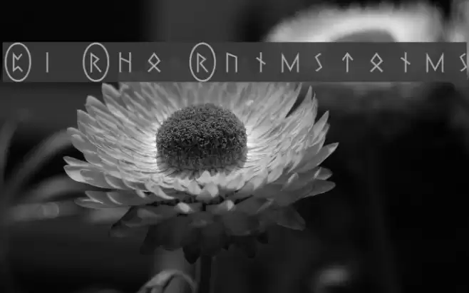 Pi Rho Runestones Font examples