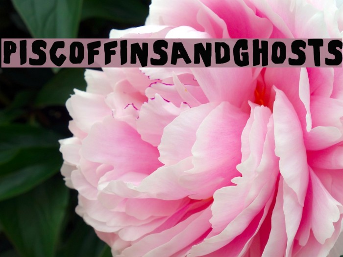 PiSCoffinsandGhosts Font examples