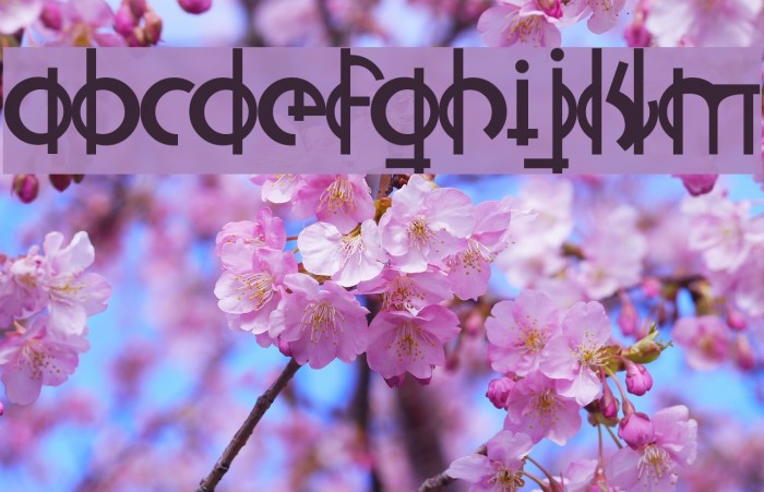 Pianissimo Font examples