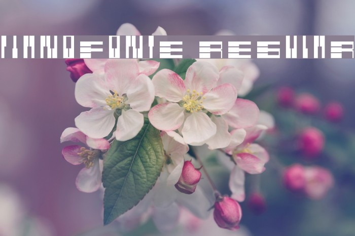 PianoFonte Regular Example 3