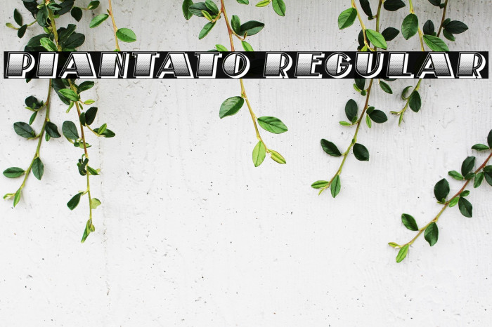 Piantato Regular Example 2