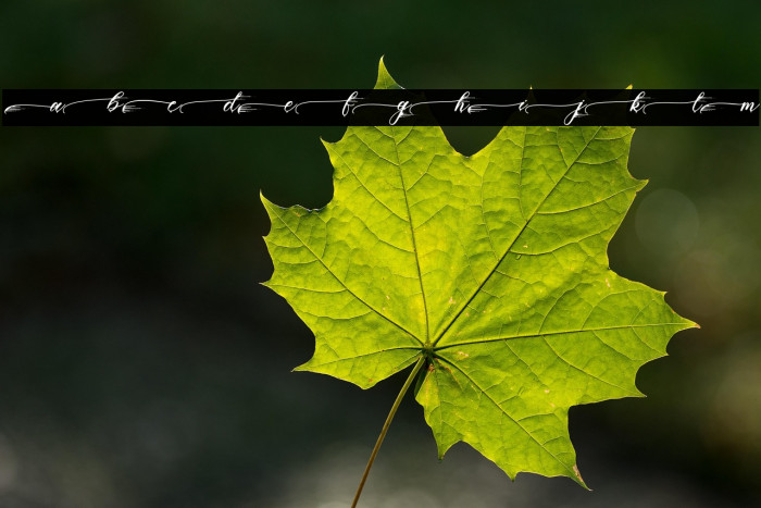 PiasleyPersonalUse Example 1