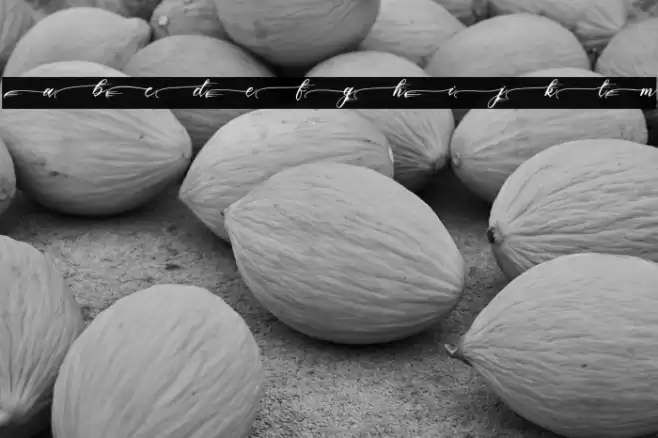 PiasleyPersonalUse Font examples