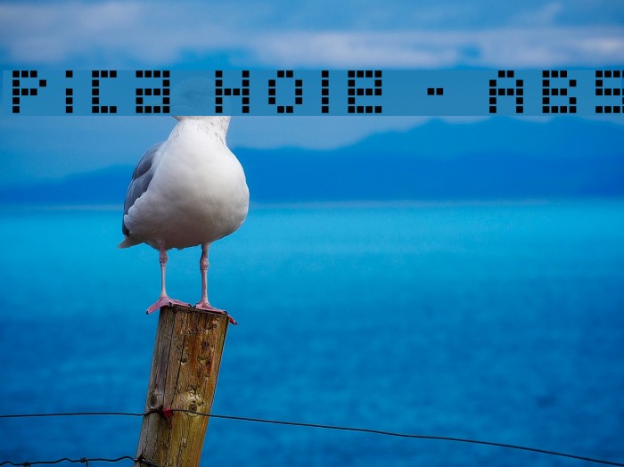 Pica Hole - ABS Font examples