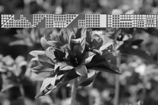 Pica Hole - SIM Caratteri examples