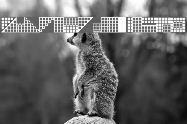 Pica Hole - SIM Caratteri examples