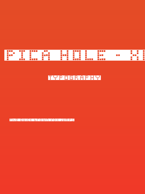 Pica Hole - XPL Poster