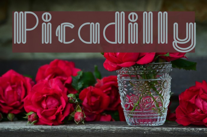 Picadilly Font examples