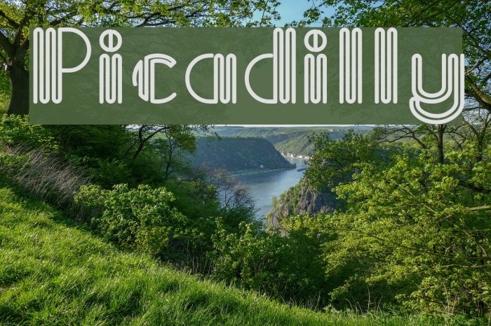 Picadilly Font examples