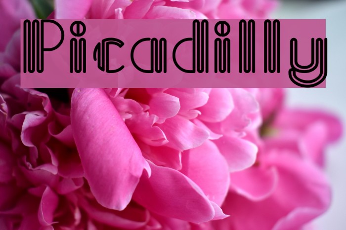 Picadilly Font examples