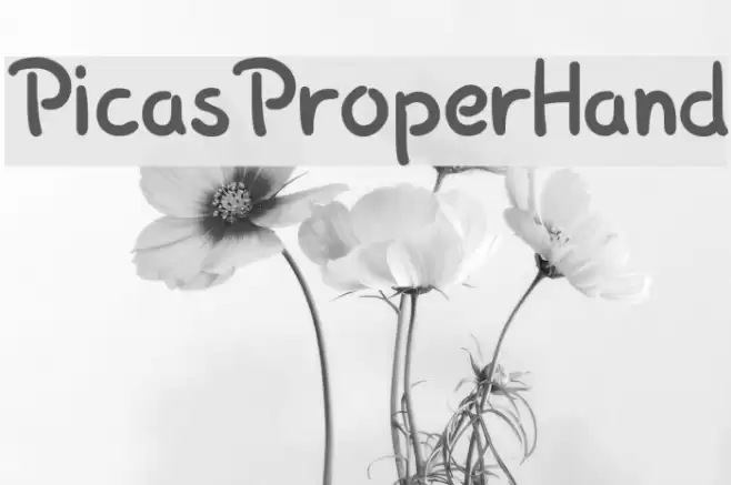 PicasProperHand Font examples