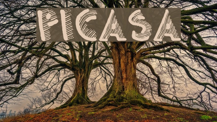 Picasa Font examples