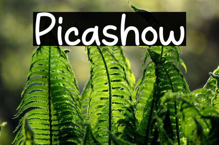 Picashow Example 1
