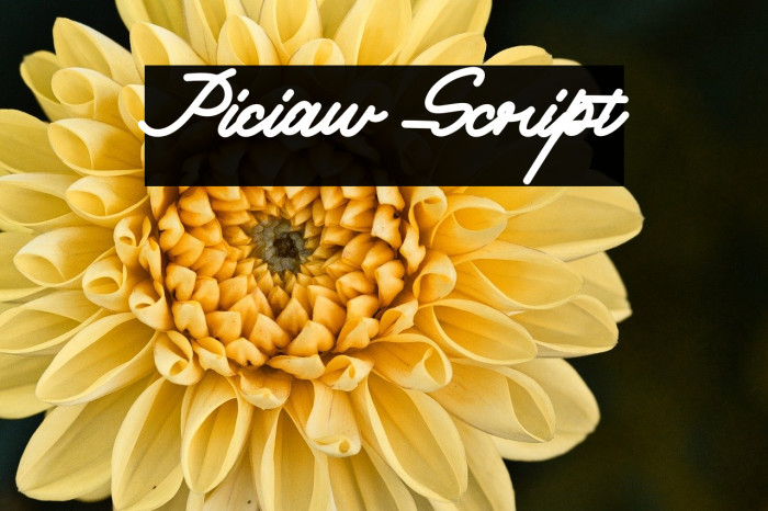 Piciaw Script Example 2