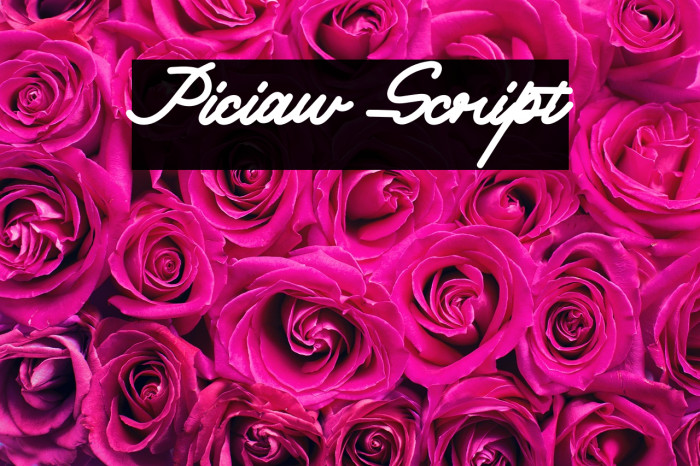 Piciaw Script Example 3