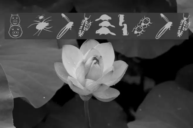 PickABack Font examples