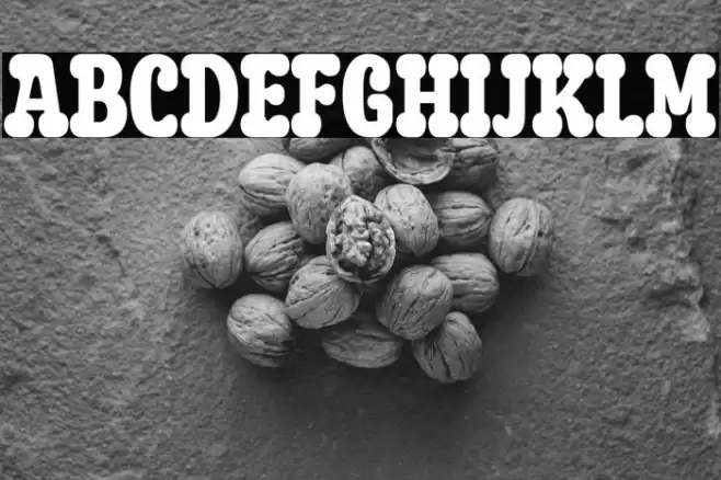 Pickey Pop Personal Use Font examples