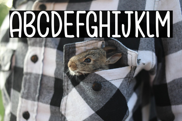 Pickle Juice_PersonalUseOnly Example 3