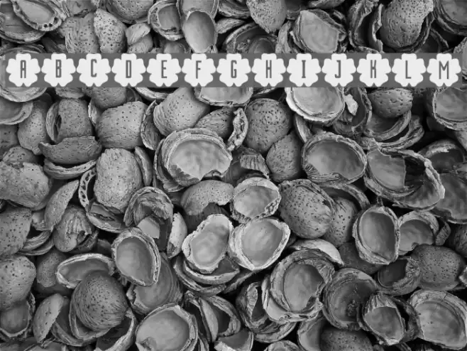 PickledPansies Font examples