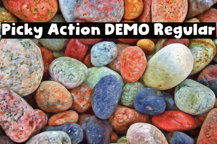 Picky Action DEMO Regular Example 1