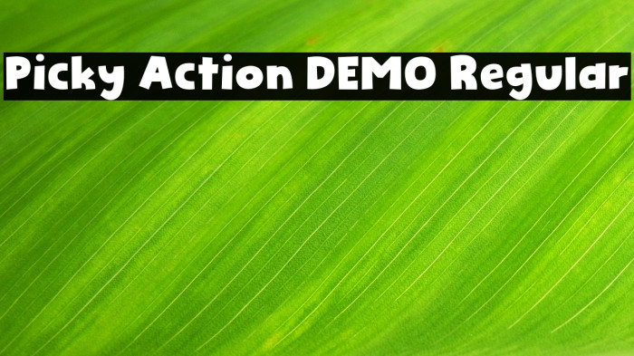 Picky Action DEMO Regular Example 2