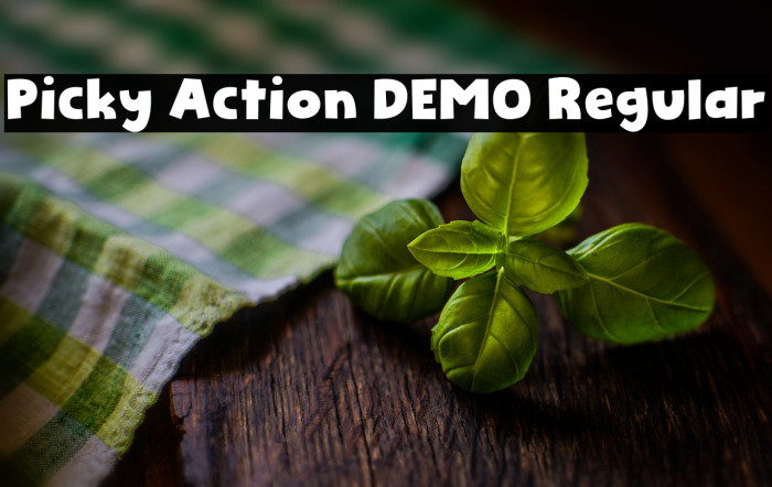 Picky Action DEMO Regular Example 3