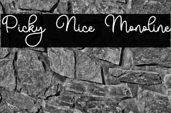 Picky Nice Monoline Schriftart examples
