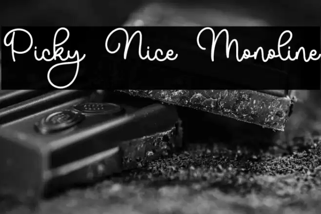 Picky Nice Monoline Schriftart examples