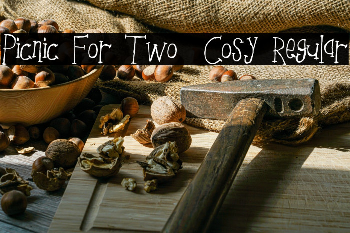 Picnic For Two _ Cosy Regular Example 1