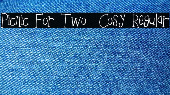 Picnic For Two _ Cosy Regular Example 3