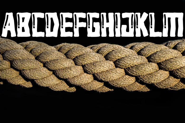 Picnic Frogs Example 1