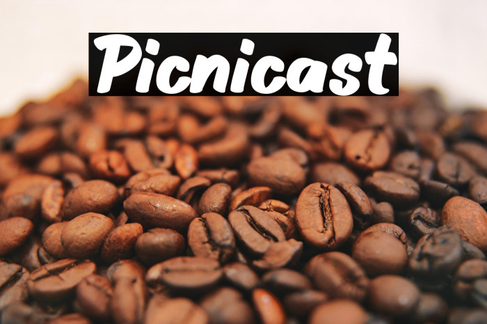 Picnicast Example 1