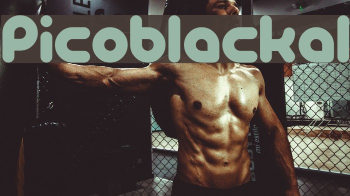 PicoBlackAl Example 1