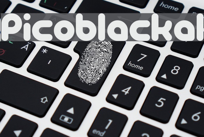 PicoBlackAl Example 3