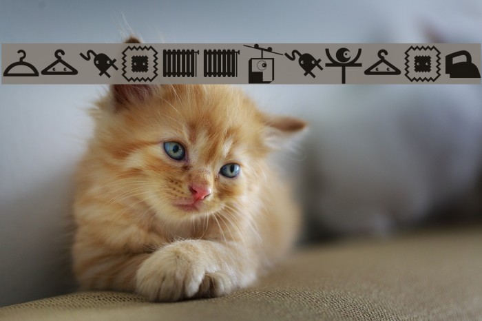 Picollection Example 2