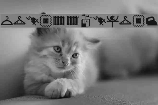 Picollection Font examples