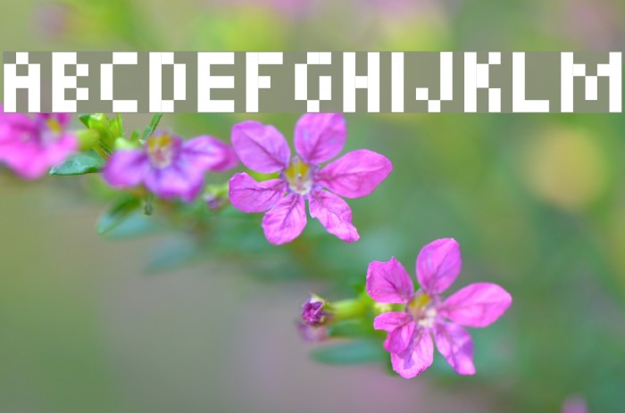 Picopixel Font examples